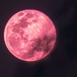 Pink moon april 2024