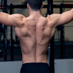 Back muscles called modernheal whatsapp twitter