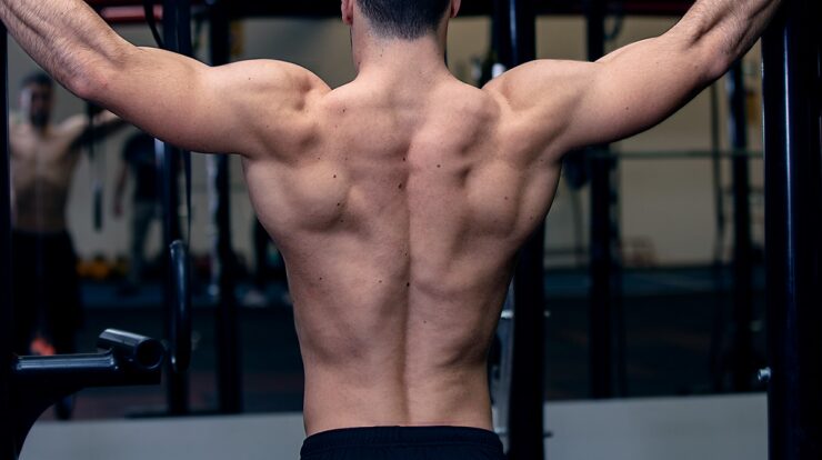 Back muscles called modernheal whatsapp twitter