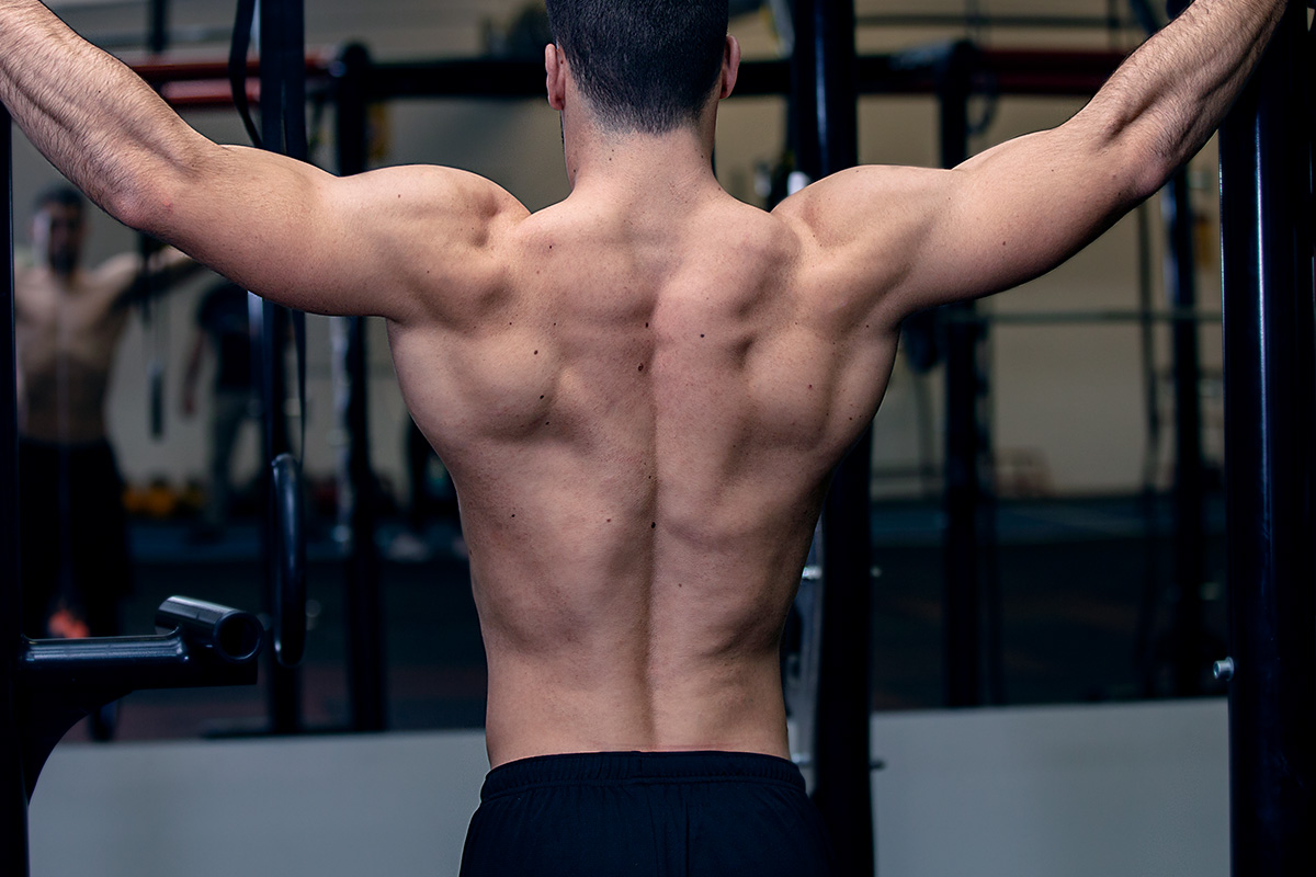 Back muscles called modernheal whatsapp twitter